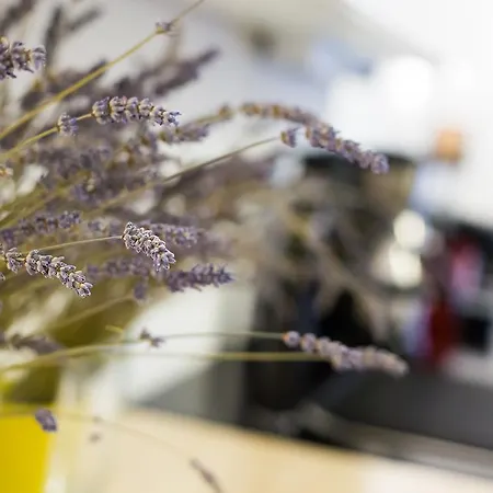 Апартаменти Valsabbion *