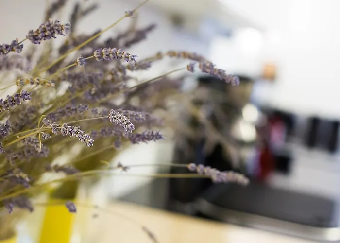 Apartment Valsabbion City *